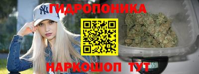 ECSTASY Будённовск
