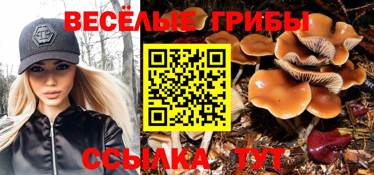 Галлюциногенные грибы MAGIC MUSHROOMS Омск